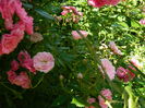 DSCN0274