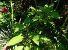 DSCN0289