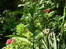 DSCN0301