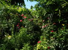 DSCN0306