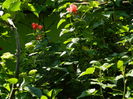 DSCN0309