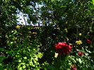 DSCN0312