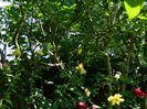 DSCN0314
