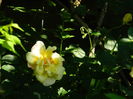 DSCN0316