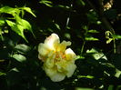 DSCN0318