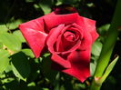DSCN0320