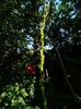 DSCN0321