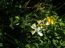 DSCN0322