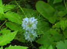 DSCN0325