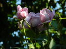 DSCN0327