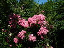 DSCN0328
