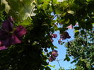 DSCN0330