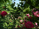 DSCN0338