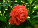 DSCN0348