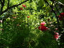 DSCN0358