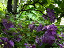 DSCN1164