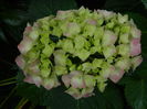 DSCN1180