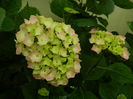 DSCN1183