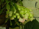 DSCN1185