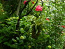 DSCN1194