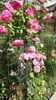20160603_104900