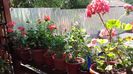 20160603_105210