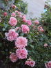 DSC01679