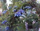 DSC02354