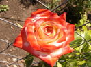 P1280624