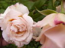 P1280660