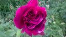 WP_20160525_17_04_26_Pro
