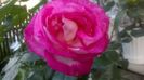 WP_20160528_20_20_52_Pro