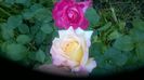 WP_20160531_07_21_07_Pro