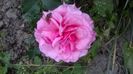 WP_20160531_14_29_59_Pro