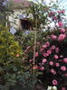 DSC03050