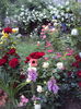 DSC02889