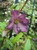 DSC03151