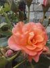 20160604_083915