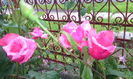 IMG_20160602_202327[1]