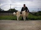 DSCN2554