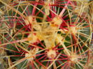 DSCN7047