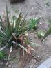 20160604_125640
