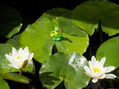 DSCN1089