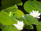 DSCN1091