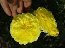 065