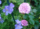 DSC02510
