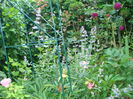 DSC02513