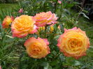 Gartenspass
