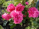 IMG_20160531_071759