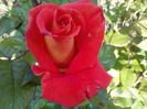 IMG_20160531_072106